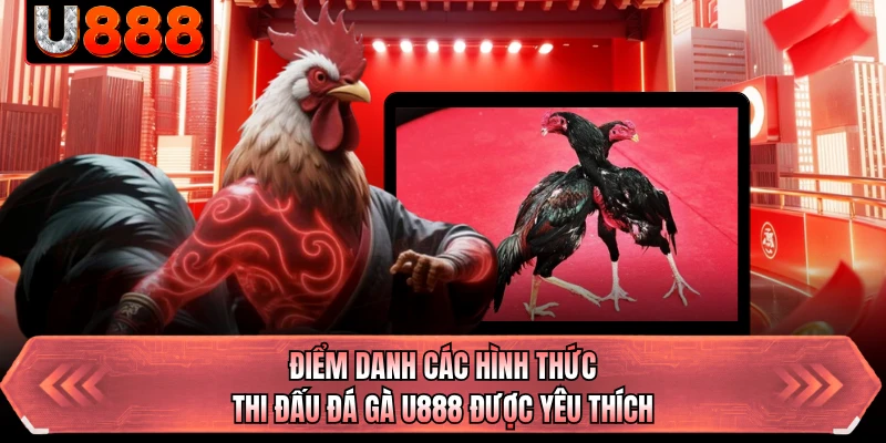 Điểm danh các hình thức thi đấu đá gà U888 được yêu thích