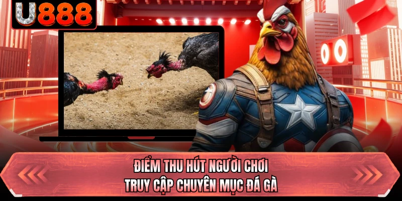 Điểm thu hút người chơi truy cập chuyên mục đá gà
