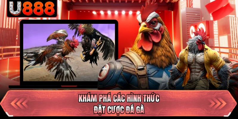 Khám phá các hình thức đặt cược đá gà